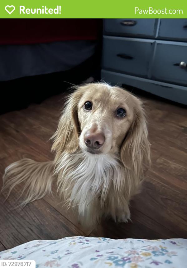 Reunited Male Dog last seen Cottonwood Ln, Fillmore, CA 93015, USA, Fillmore, CA 93015