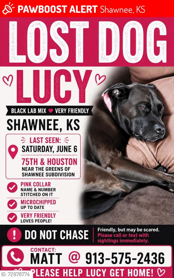 Lost Female Dog last seen 75th & Houston in Shawnee, KS, Shawnee, KS 66227
