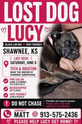 Lost Female Dog last seen 75th & Houston in Shawnee, KS, Shawnee, KS 66227