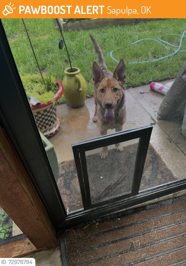 Found/Stray Unknown Dog last seen 49th west ave and 121st, Sapulpa, OK 74066