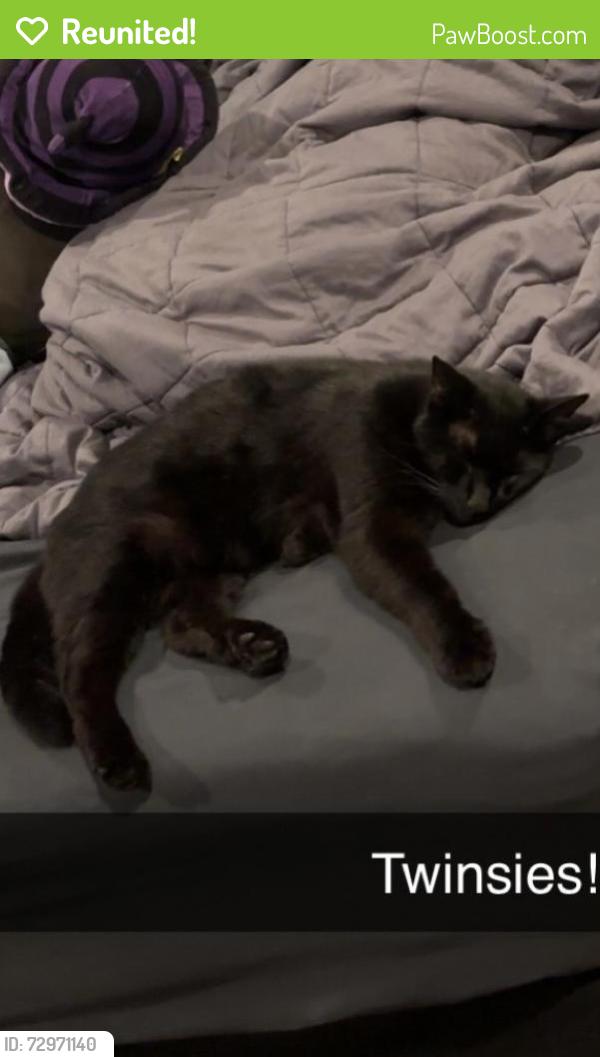 Reunited Male Cat last seen 21st & 119th west, Wichita, KS 67223