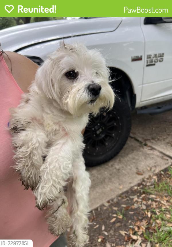 Reunited Male Dog last seen Near lake run lane Richmond TX 77407, Richmond, TX 77407