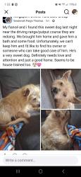 Found/Stray Unknown Dog last seen Near the newly renovated putput/driving range, Kingsport, TN 37660