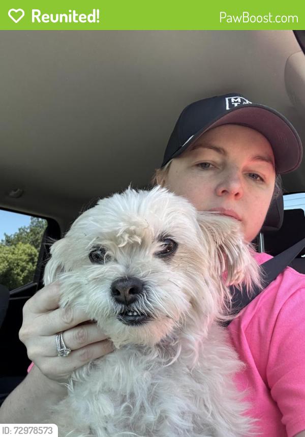 Reunited Female Dog last seen Hillglen Drive and Maverick Court, Modesto, CA 95355