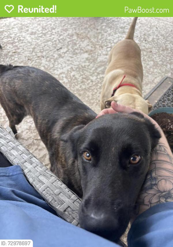 Reunited Female Dog last seen Bytrail Ct & Quiet Grove, Atascocita, TX 77346