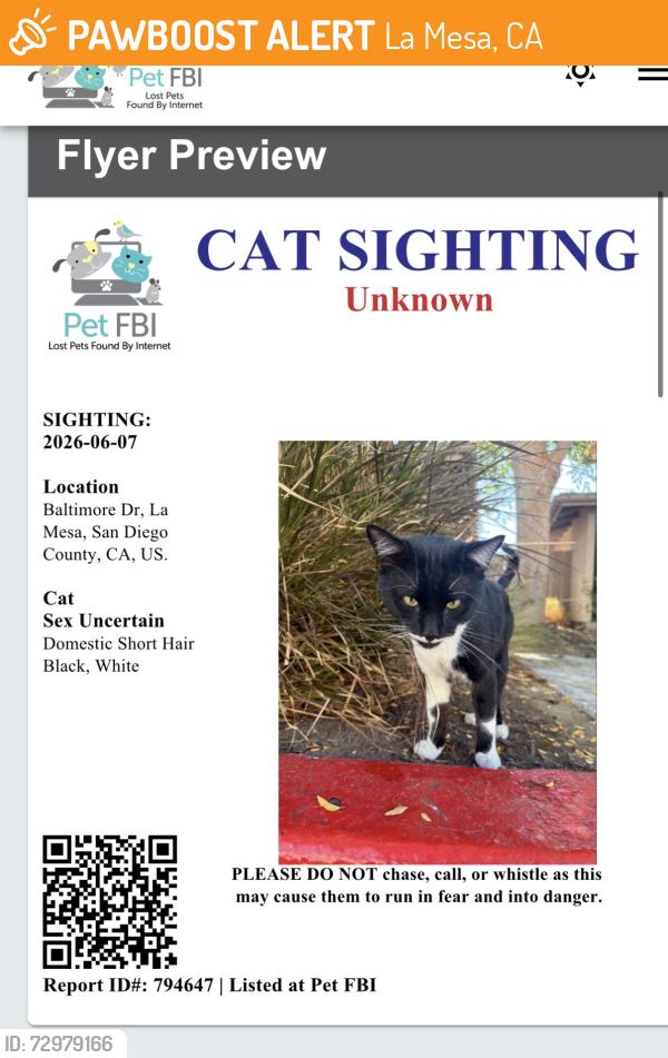 Found/Stray Unknown Cat last seen Baltimore drive , La Mesa, CA 91941