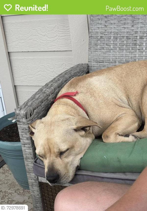Reunited Female Dog last seen Bytrail Ct & Quiet Grove, Atascocita, TX 77346