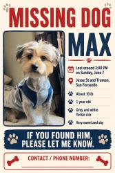 Reunited Male Dog last seen Jesse and First St, San Fernando, CA 91340