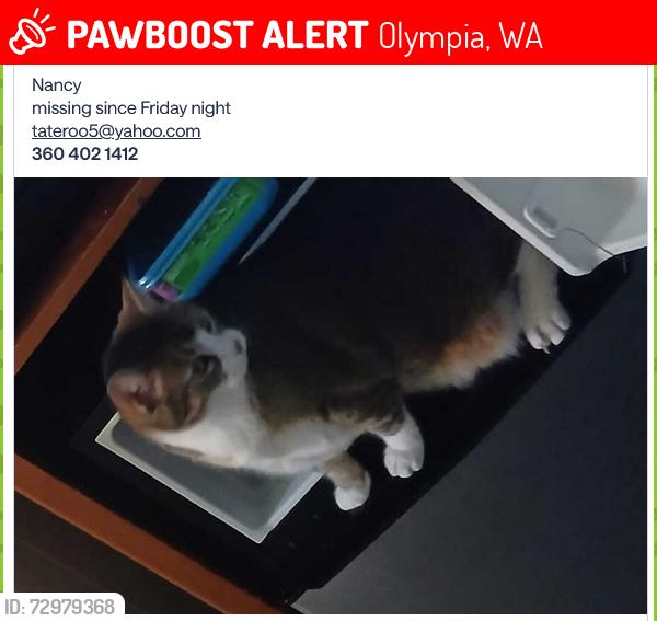 Lost Female Cat last seen Lilly and Ensign, Olympia, WA 98506