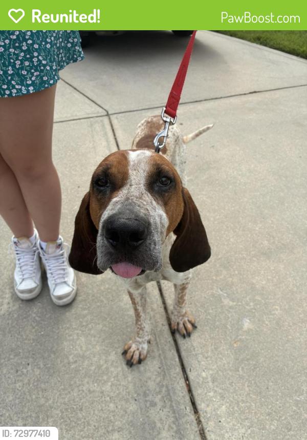 Reunited Male Dog last seen Clingman Ln. and Wrangell Ln., Charlotte, NC 28214