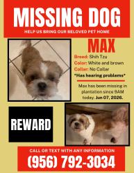 Reunited Male Dog last seen Cage Street Pharr TX, Pharr, TX 78577