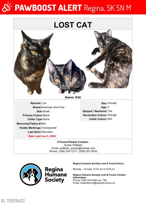 Lost Female Cat last seen Fleet street and Cavendish/Hall Ave, Regina, SK S4N 6M2
