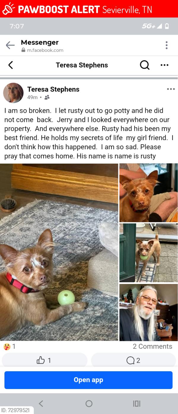 Lost Male Dog last seen Near Robinson Gap, Sevierville, TN 37876