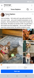 Lost Male Dog last seen Near Robinson Gap, Sevierville, TN 37876