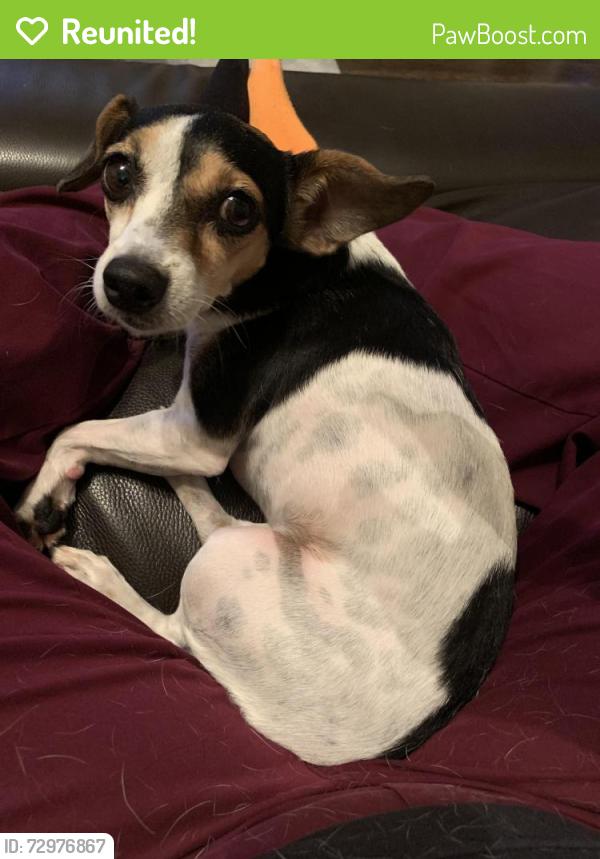 Reunited Female Dog last seen Broadmoor ests, Rowlett, TX 75089