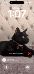 Lost Female Cat last seen Near Kansa Rd, El Dorado, KS 67042