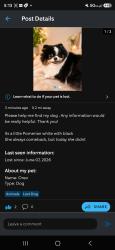 Reunited Female Dog last seen Inkopah and monserate , Chula Vista, CA 91911