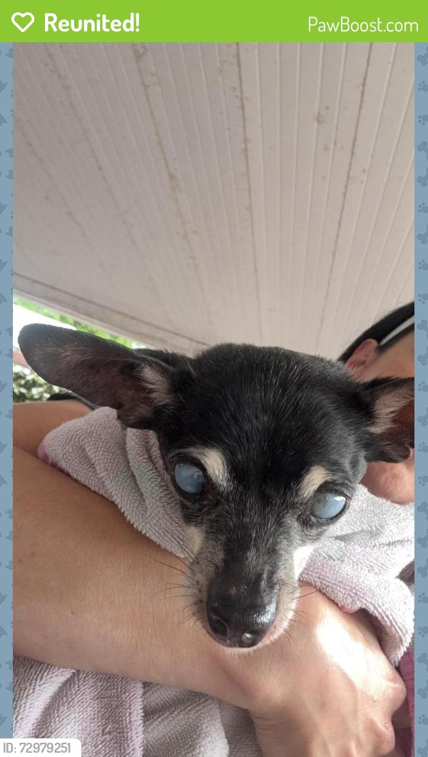 Reunited Male Dog last seen Miami lakes, Miami Lakes, FL 33014