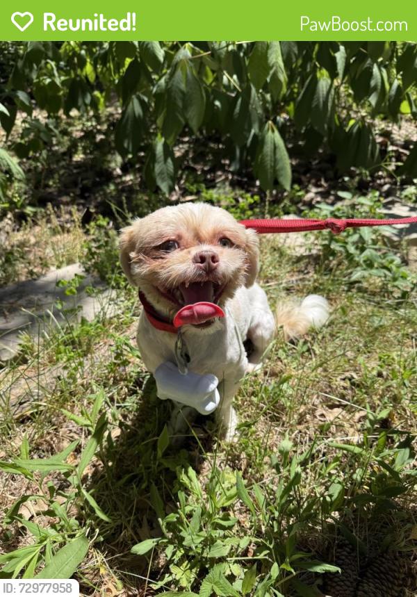Reunited Male Dog last seen University school , Shaker Heights, OH 44122
