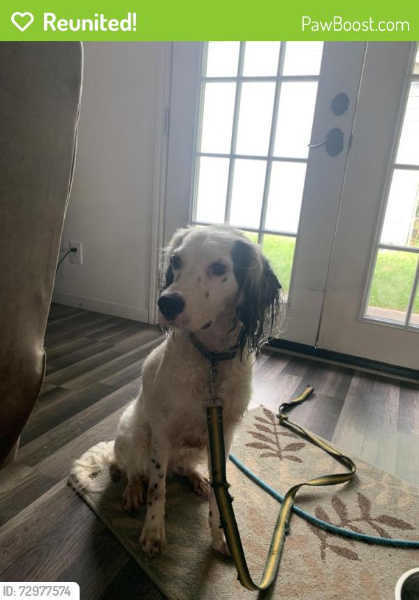 Reunited Female Dog last seen Fm 945 N and Jackson Lane, San Jacinto County, TX 77331