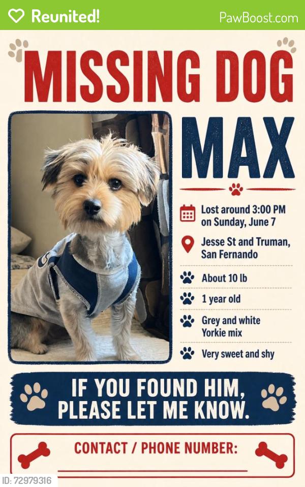 Reunited Male Dog last seen Jesse and First St, San Fernando, CA 91340