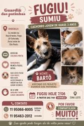 Lost Male Dog last seen Altura do 6.370 da Av Sapopemba , Jardim Colorado, SP 03387-000