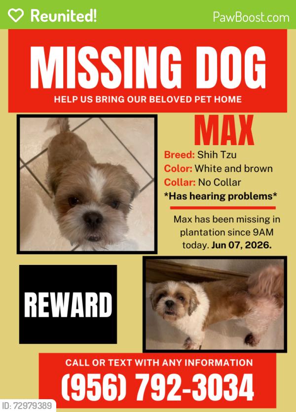 Reunited Male Dog last seen Cage Street Pharr TX, Pharr, TX 78577