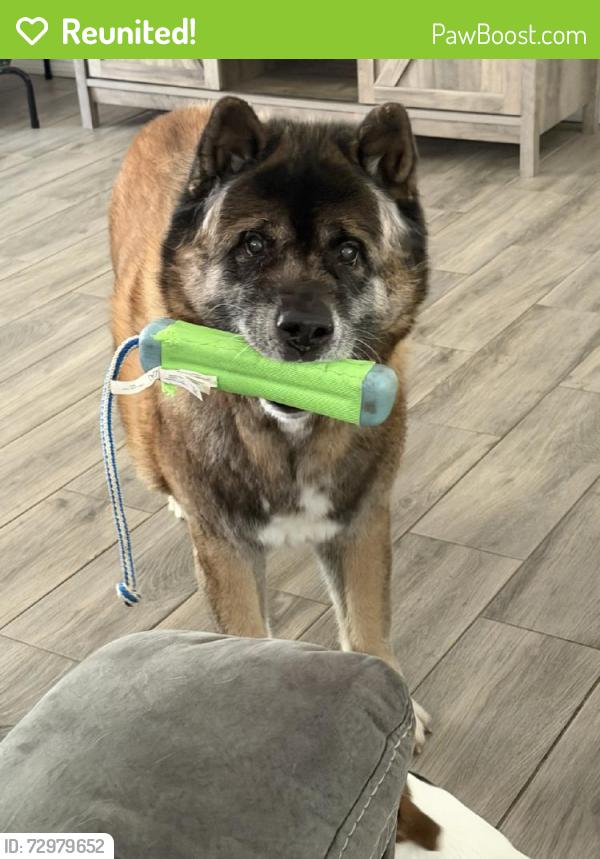 Reunited Male Dog last seen Near W Lorraine Dr, Citrus Springs, FL 34434, USA, Citrus Springs, FL 34434