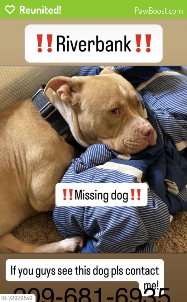 Reunited Male Dog last seen Laredo Ln, Riverbank, CA 95367, USA, Riverbank, CA 95367