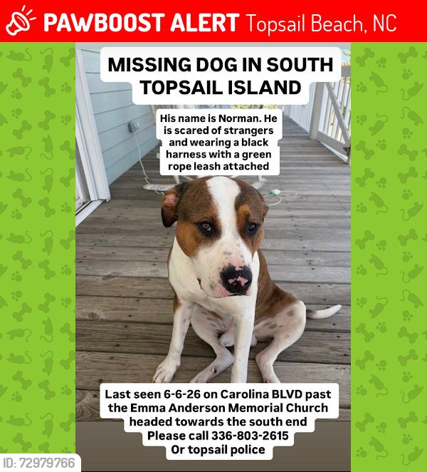 Lost Male Dog last seen Carolina Ave past the Emma Anderson Memorial Church, Topsail Beach, NC 28445