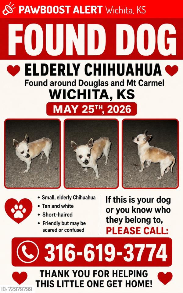 Lost Female Dog last seen Maple and douglas, Wichita, KS 67203