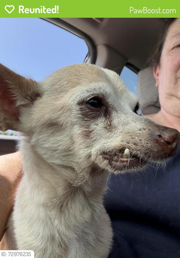 Reunited Male Dog last seen Tapiro and Golden Stars, Sacramento, CA 95829