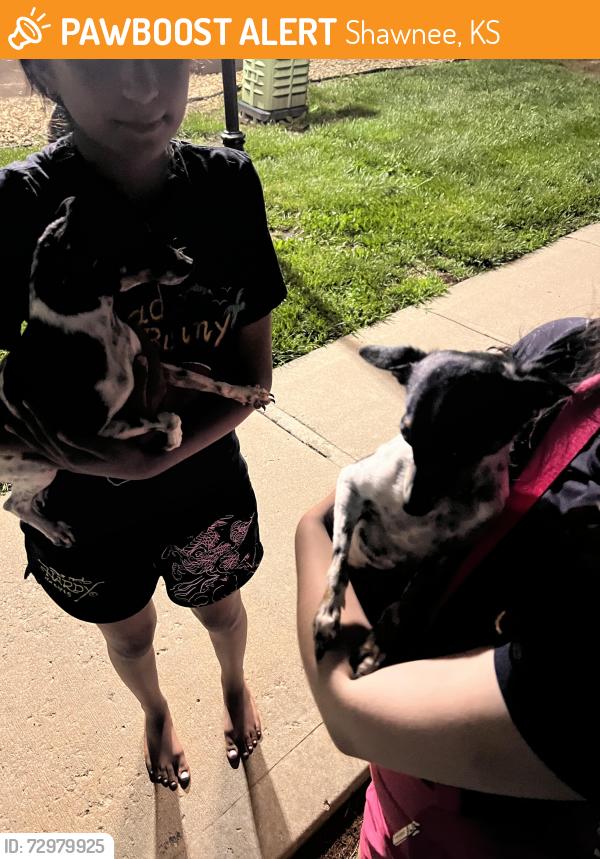 Found/Stray Male Dog last seen Shawnee 75th , Shawnee, KS 66227