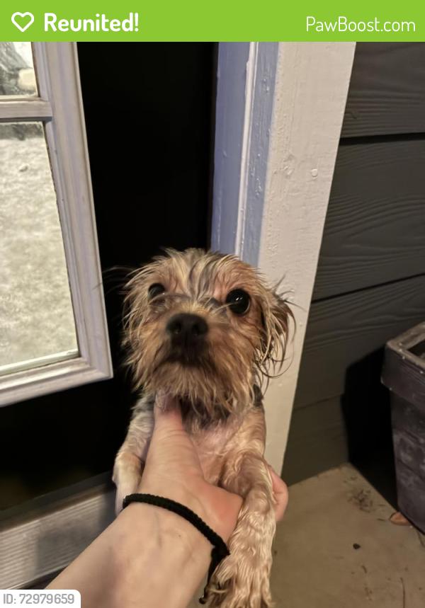 Reunited Female Dog last seen Salem Hwy, Murfreesboro, TN 37128