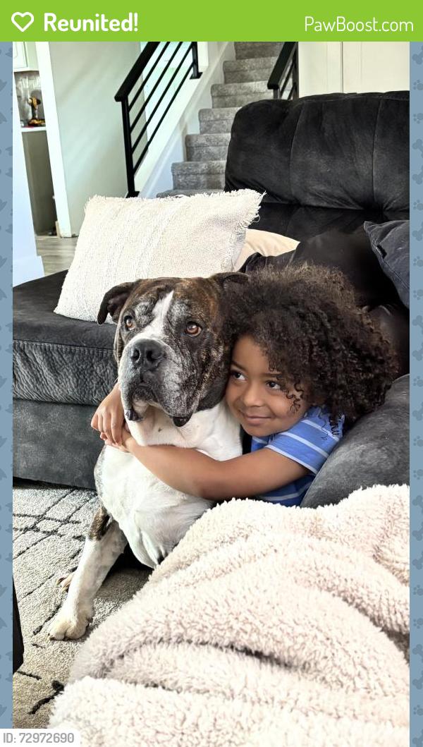 Reunited Male Dog last seen Topaz, Sergeant Bluff, IA 51054