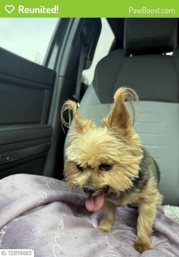 Reunited Male Dog last seen 38th and Redfern, Gresham, OR 97080