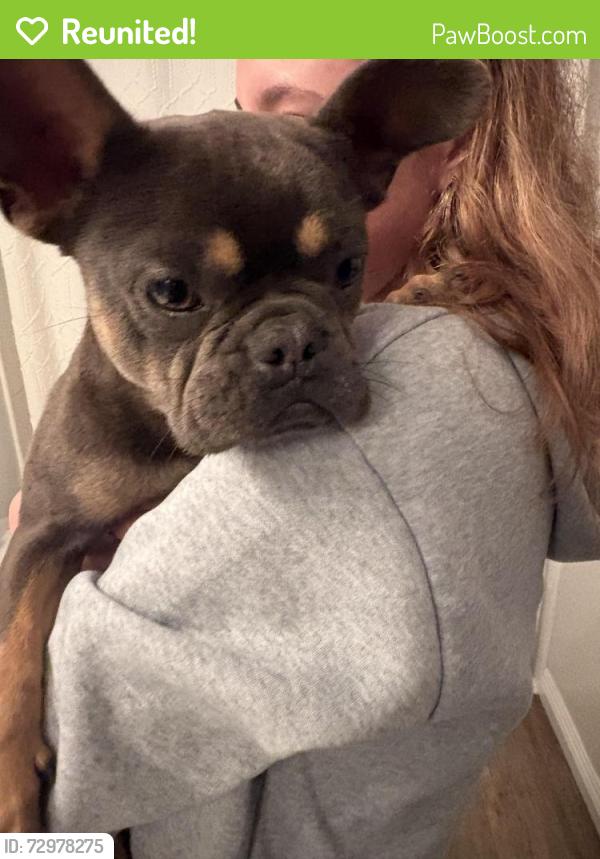 Reunited Male Dog last seen Newhaven, Oxnard, CA 93030