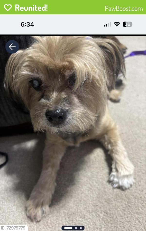 Reunited Male Dog last seen Cookingham Dr/291, Kansas City, MO 64155
