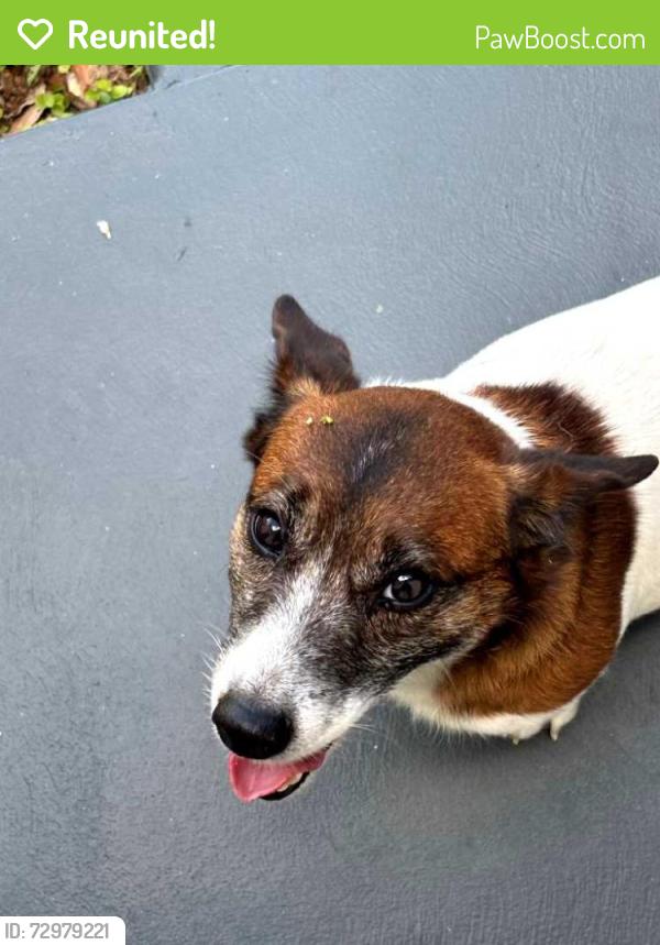 Reunited Male Dog last seen Nob Hill Circle , Wekiwa Springs, FL 32779