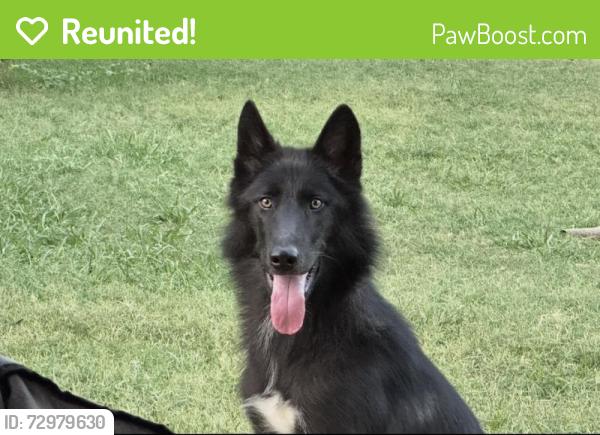 Reunited Male Dog last seen FM1187 & Gertie Barrett Rd, Mansfield, TX 76063, USA, Mansfield, TX 76063