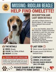 Lost Male Dog last seen Oberon Ave. Boyton Beach FL, Boynton Beach, FL 33436