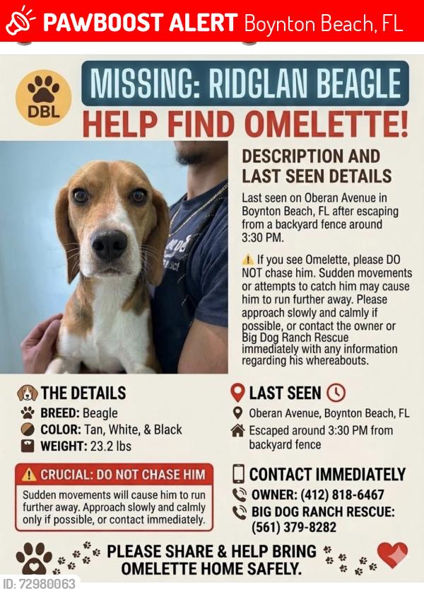 Lost Male Dog last seen Oberon Ave. Boyton Beach FL, Boynton Beach, FL 33436