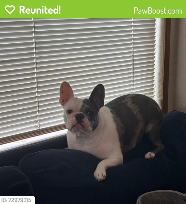 Reunited Female Dog last seen Near NE 10th Ave Vancouver, WA 98685, Vancouver, WA 98685