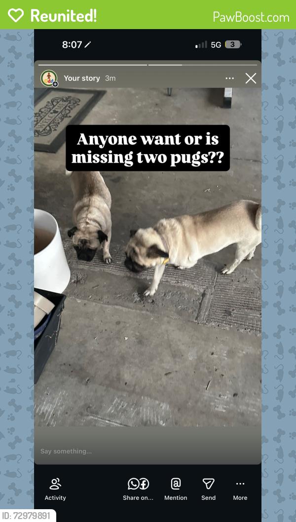 Reunited Male Dog last seen Valley, Fontana, CA 92335