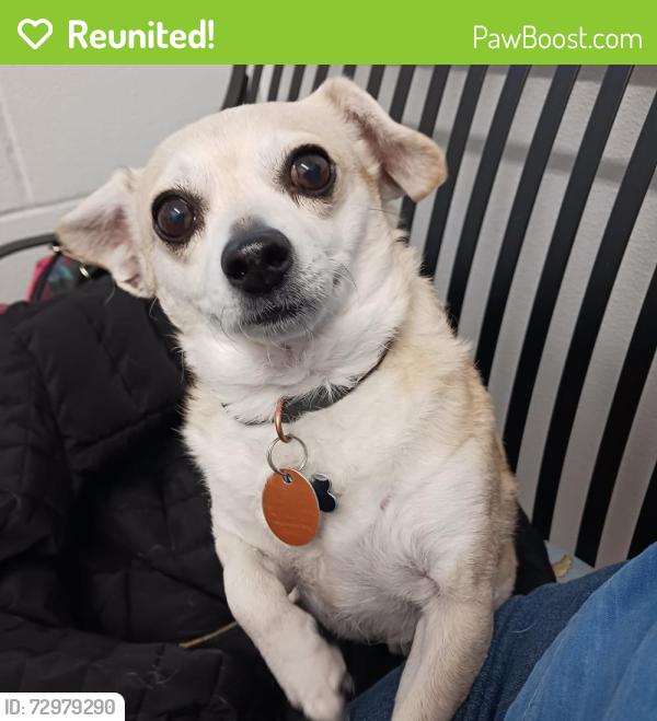 Reunited Male Dog last seen Just southwest of Riding Club Road and Powderhouse, Cheyenne, WY 82009