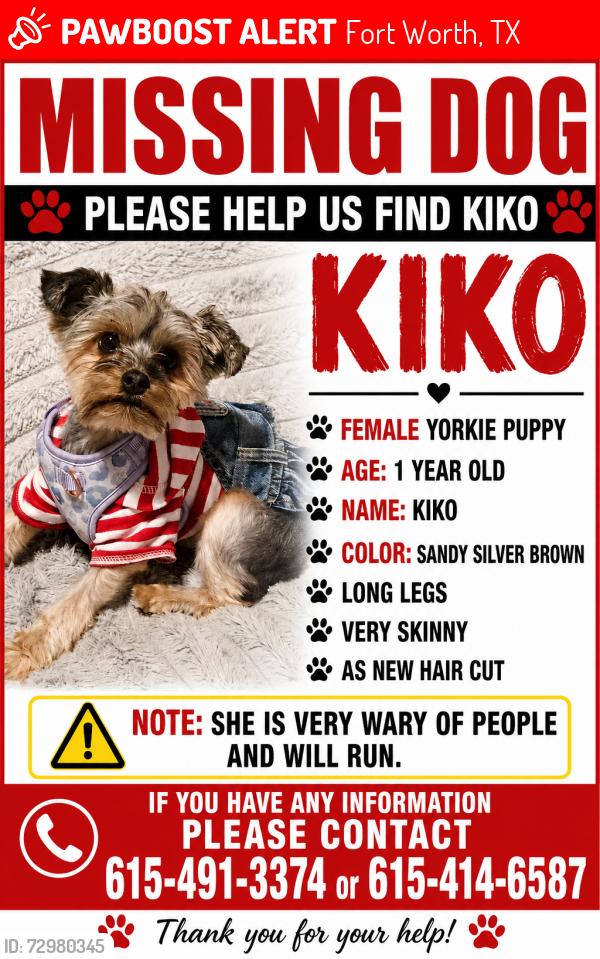Lost Female Dog last seen Near W and Hanger Cutoff , Fort Worth, TX 76135