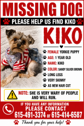 Lost Female Dog last seen Near W and Hanger Cutoff , Fort Worth, TX 76135
