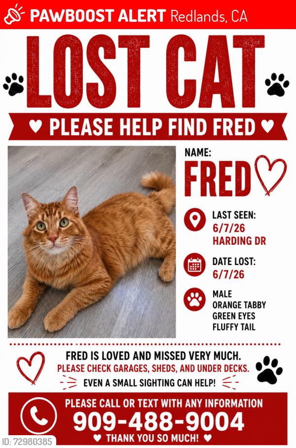 Lost Male Cat last seen Near Harding dr, Redlands CA, Redlands, CA 92373