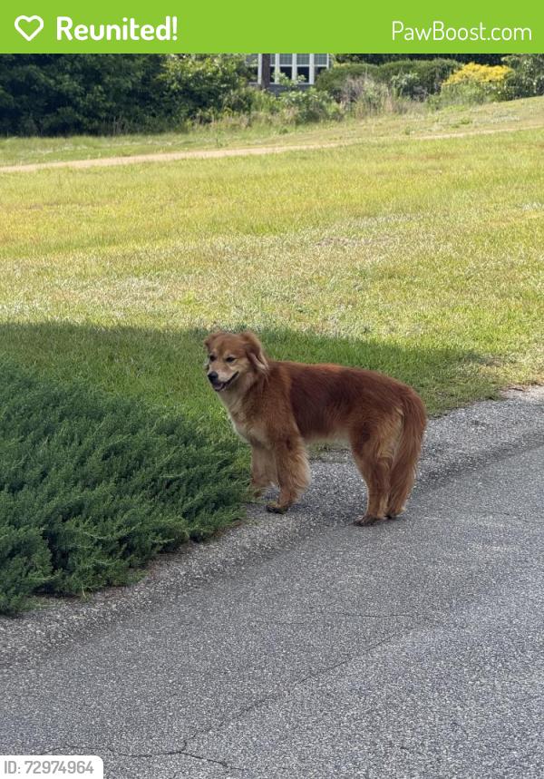 Reunited Unknown Dog last seen Micah’s Way North, Anderson Creek, NC 28390