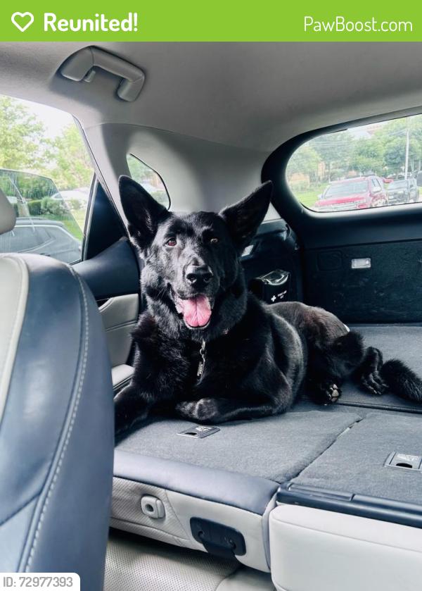 Reunited Male Dog last seen Near panhandle drive gvine tx 76051, Grapevine, TX 76051